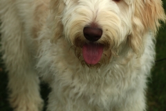 Bailey_10_mos