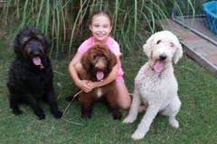 Baker Family of Doodles 2015