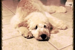 Charlie Bear Wright growing up 6 mos 1
