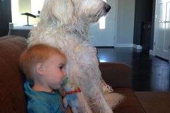 Oliver and Gus LDoodle watching TV