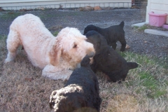 Spice_playing_with_babies_pic_1