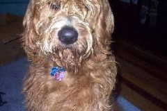 Teddy Gordon at 11 mos