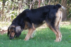 Zoe_2014~0
