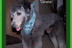 Winston Riley